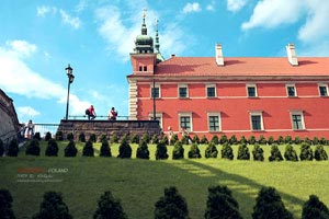 在非洲打工時，當地人有哪些行為最讓你受不了？