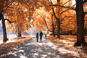 溫州有什么好玩的地方？